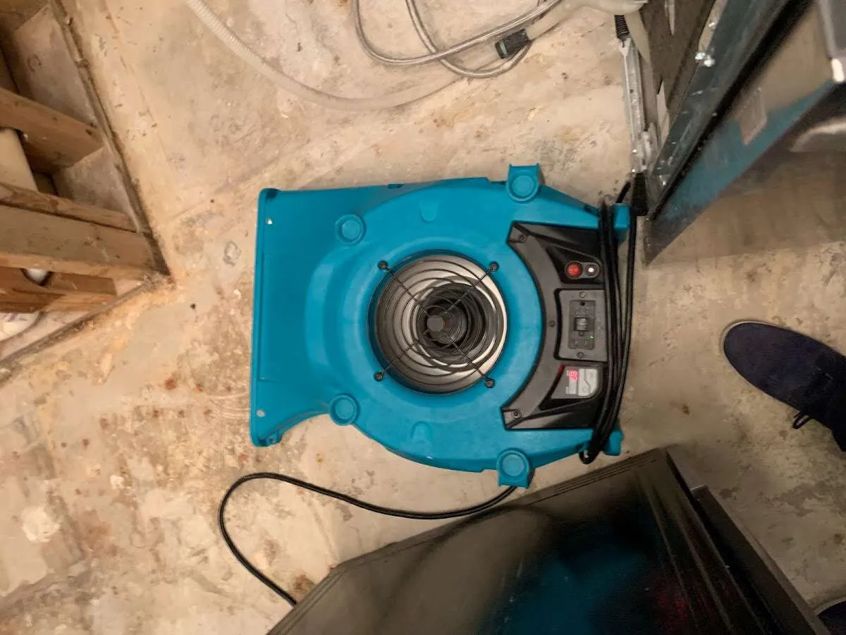 Air mover drying equipment for Mold Remediation & Removal in Big Bear Lake